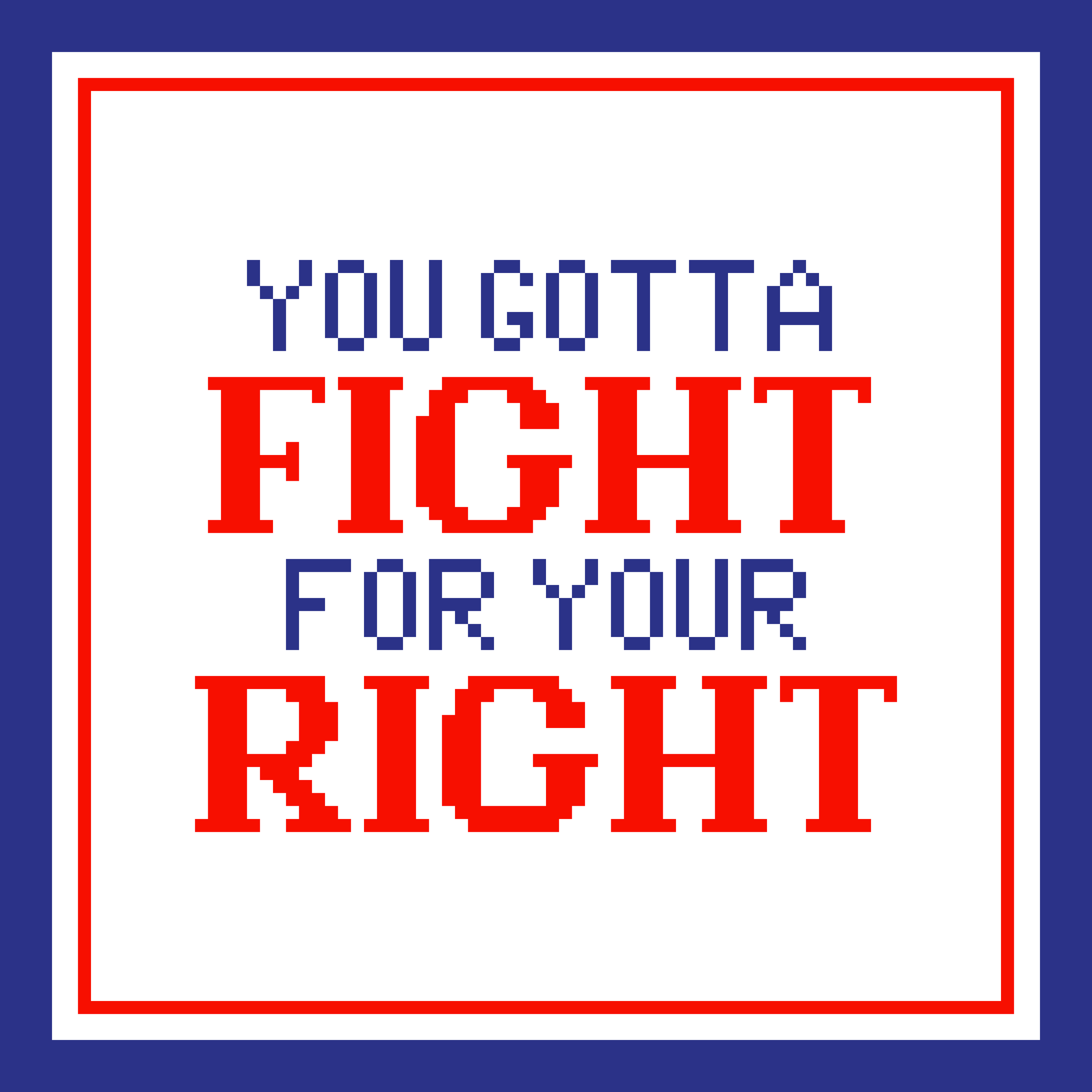 Fight For Your Right Canvas